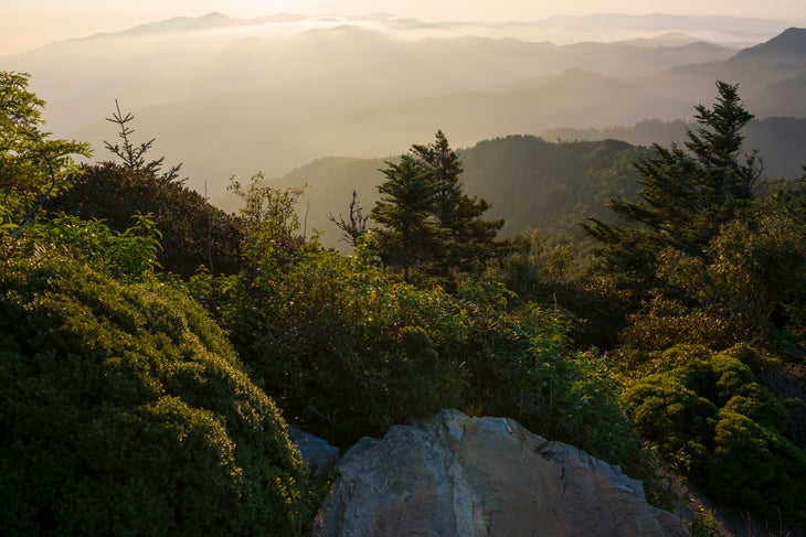 Myrtle Point on Mt LeConte in the Great Smoky Mountains