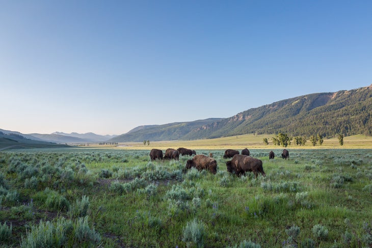 Yellowstone National Park