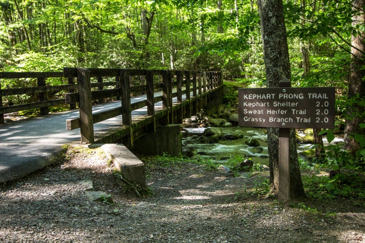Great Smoky Mountains National Park