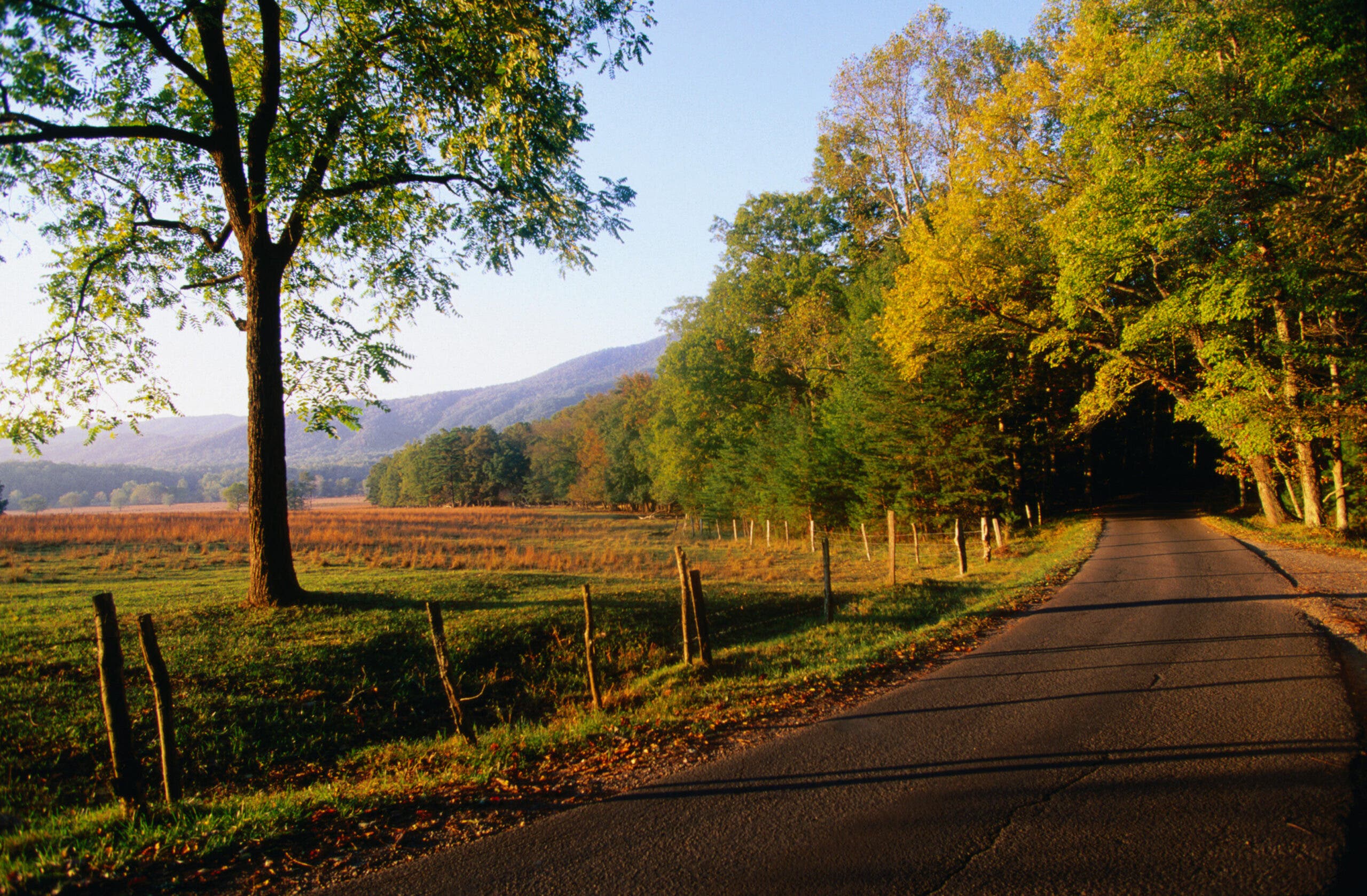Cades Cove Loop Road in Great Smoky Mountains National Park
