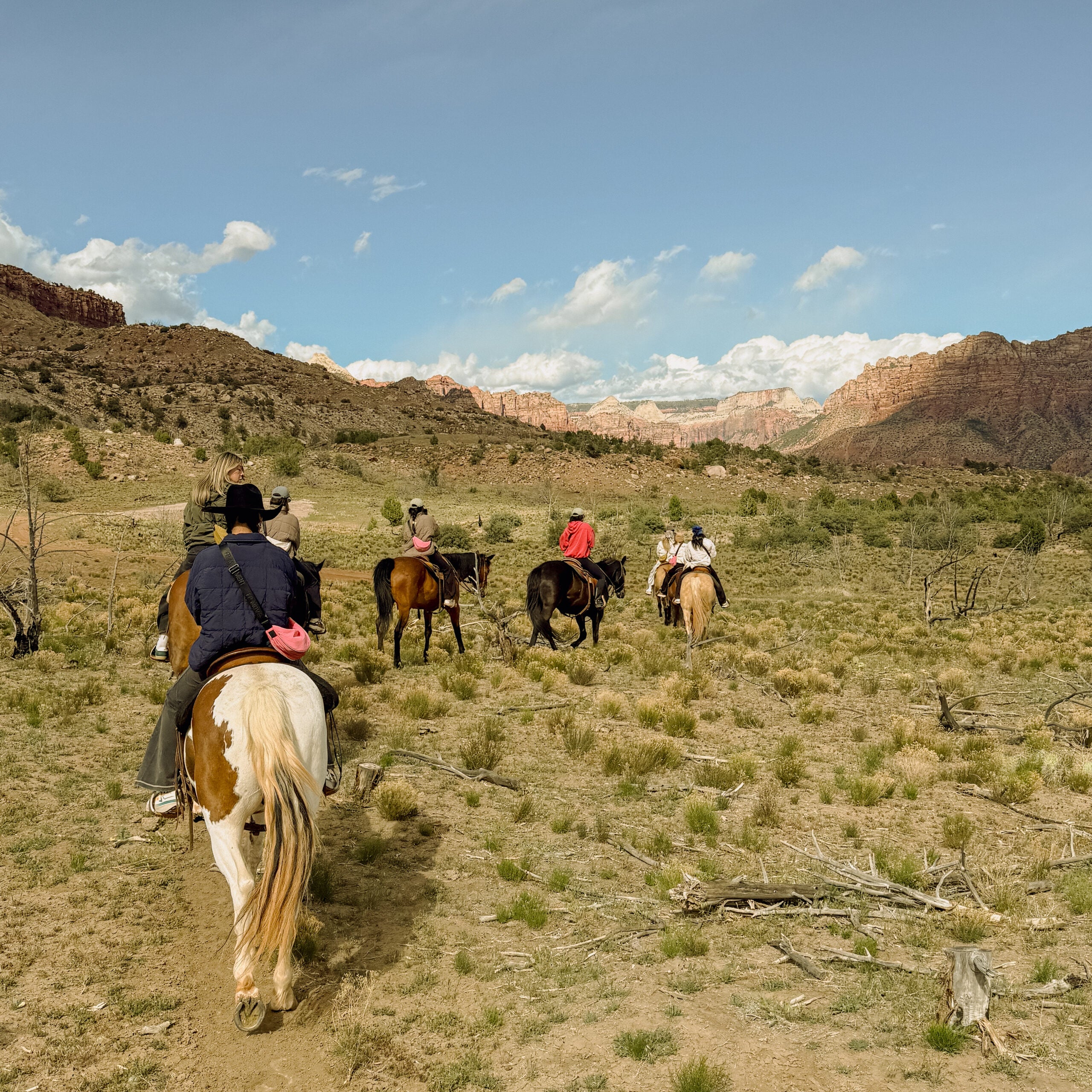 After a refreshing rain, we set out with Blue Sage Adventures—quickly bonding with our horses and gaining confidence as we rode toward the Vermillion Cliffs. 