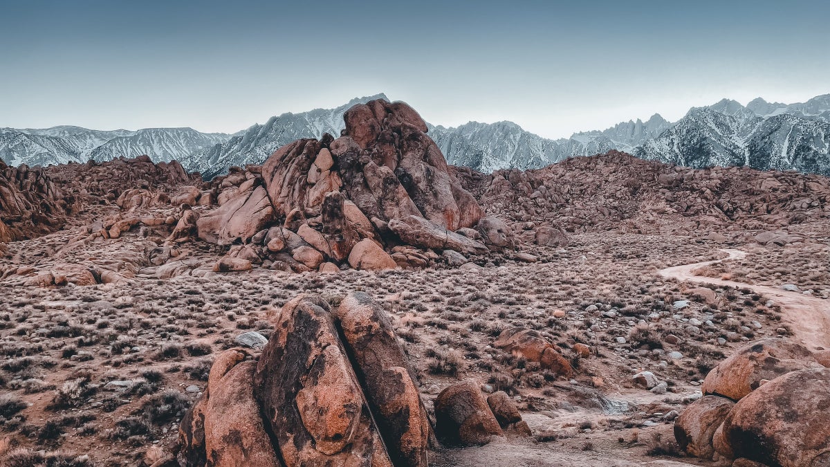 Trail Karma: Movie Road