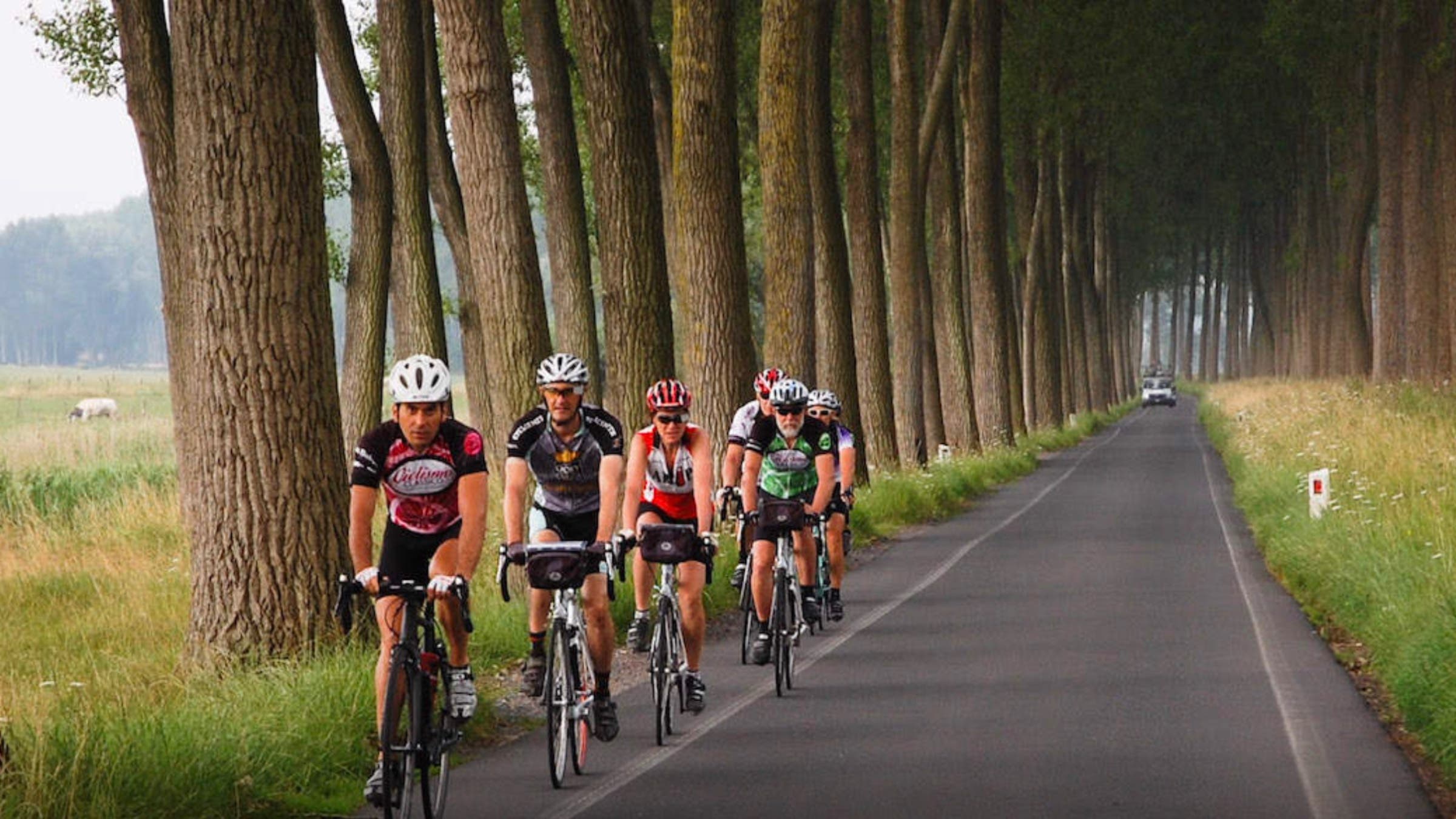 Guided cycling group