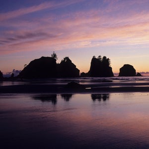 Rocky along coast