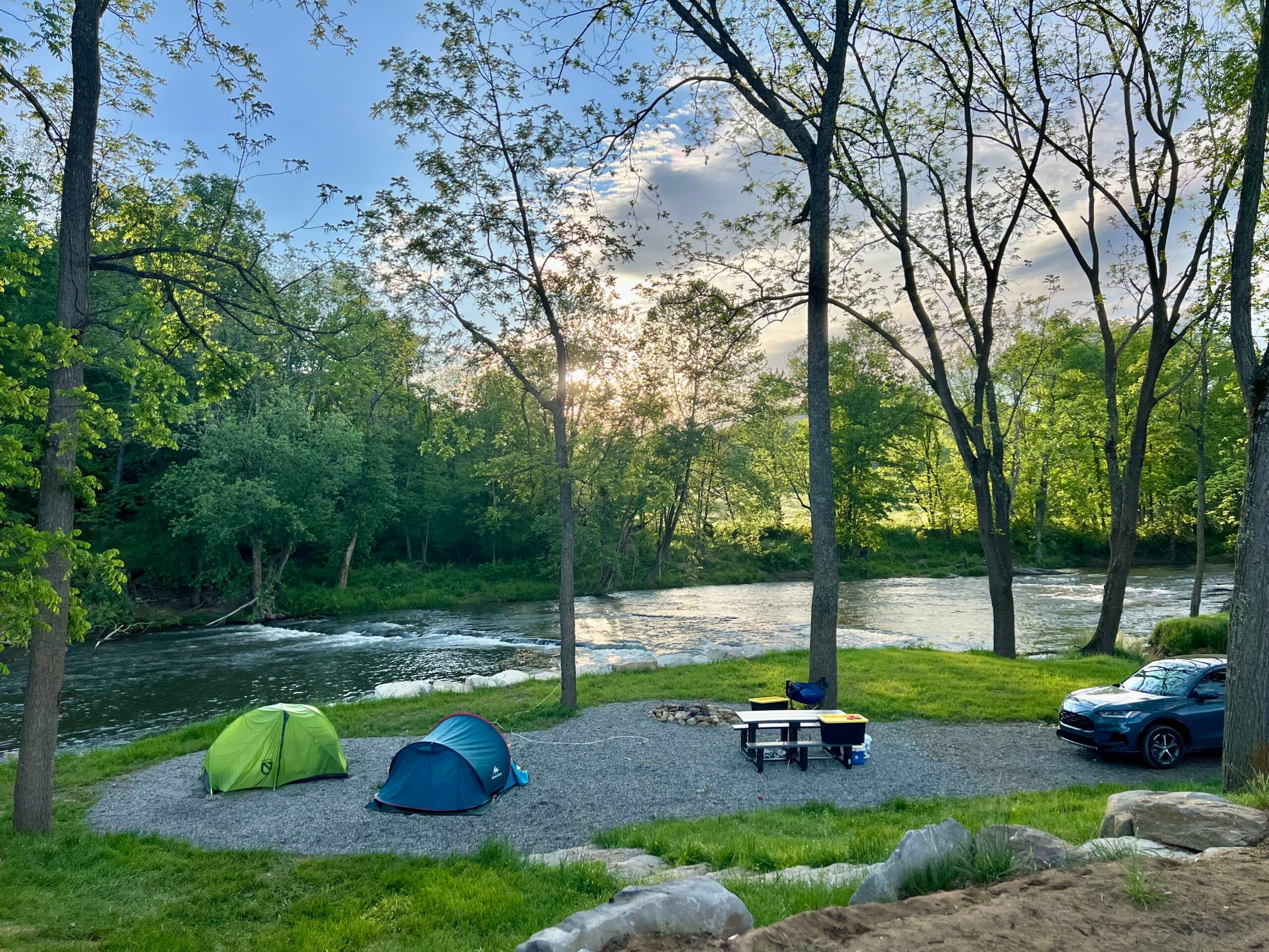 Smoky Mountains Mangalitsa River Ranch, Waynesville, North Carolina