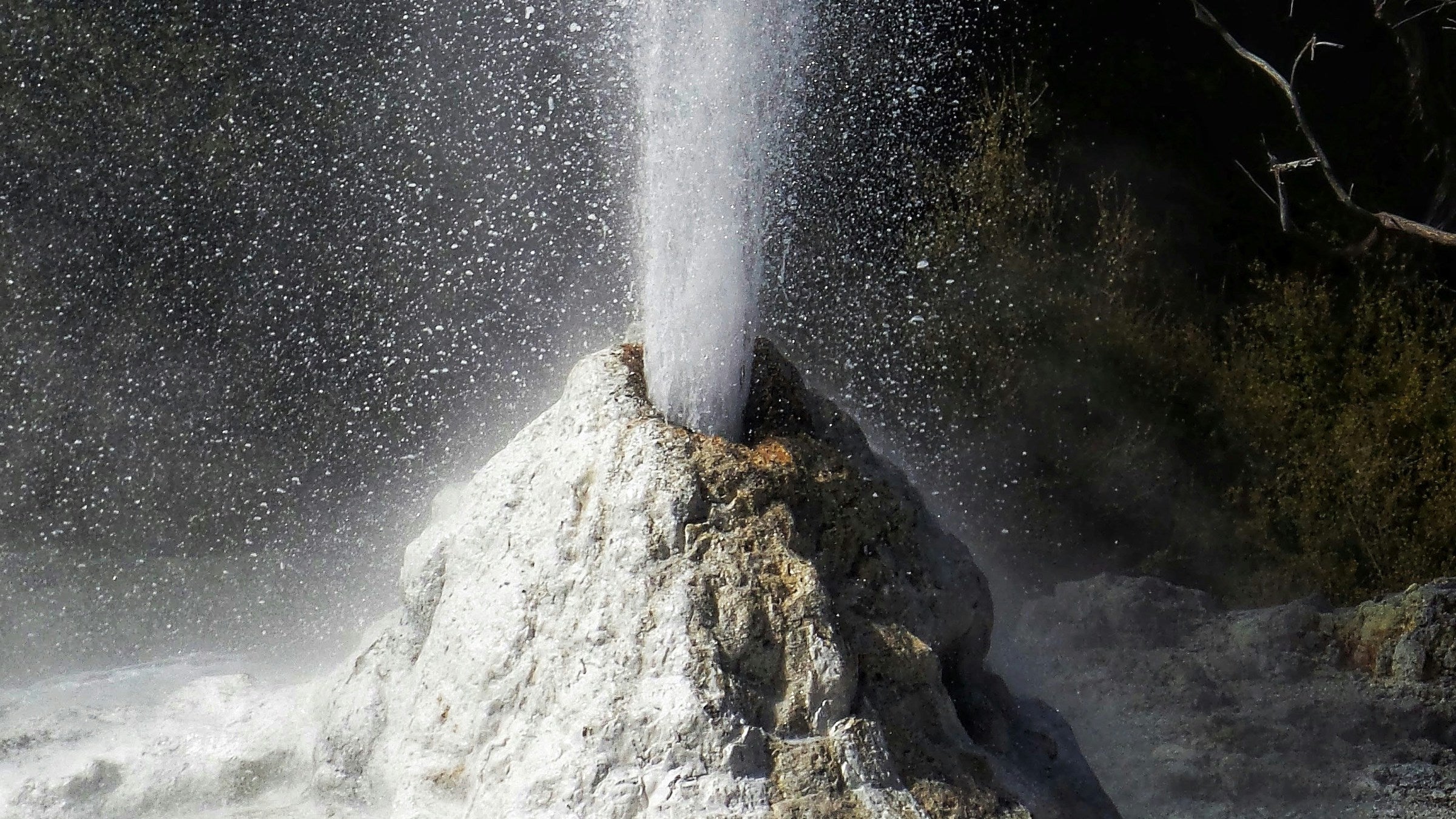 Yellowstone National Park