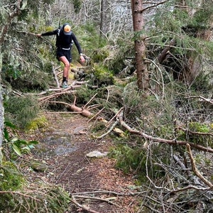 Navigating deadfall on hiking trail
