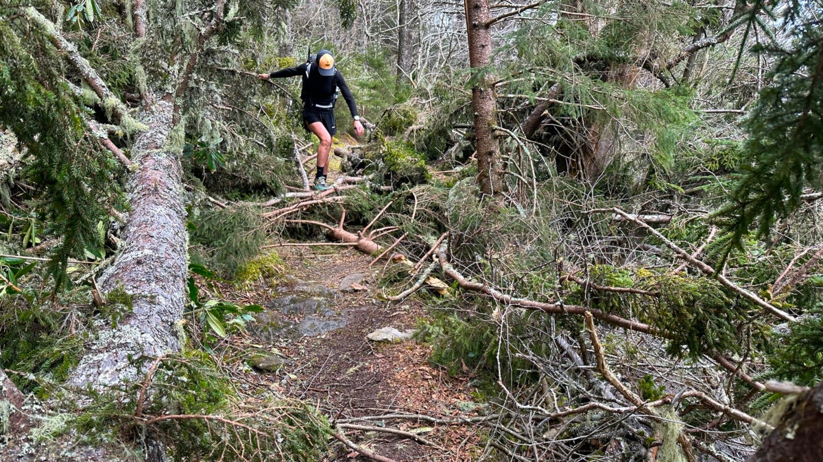 Hurricane Helene Turned the Appalachian Trail Into a Highway Pile-Up. I Hiked it to Survey the Recovery.