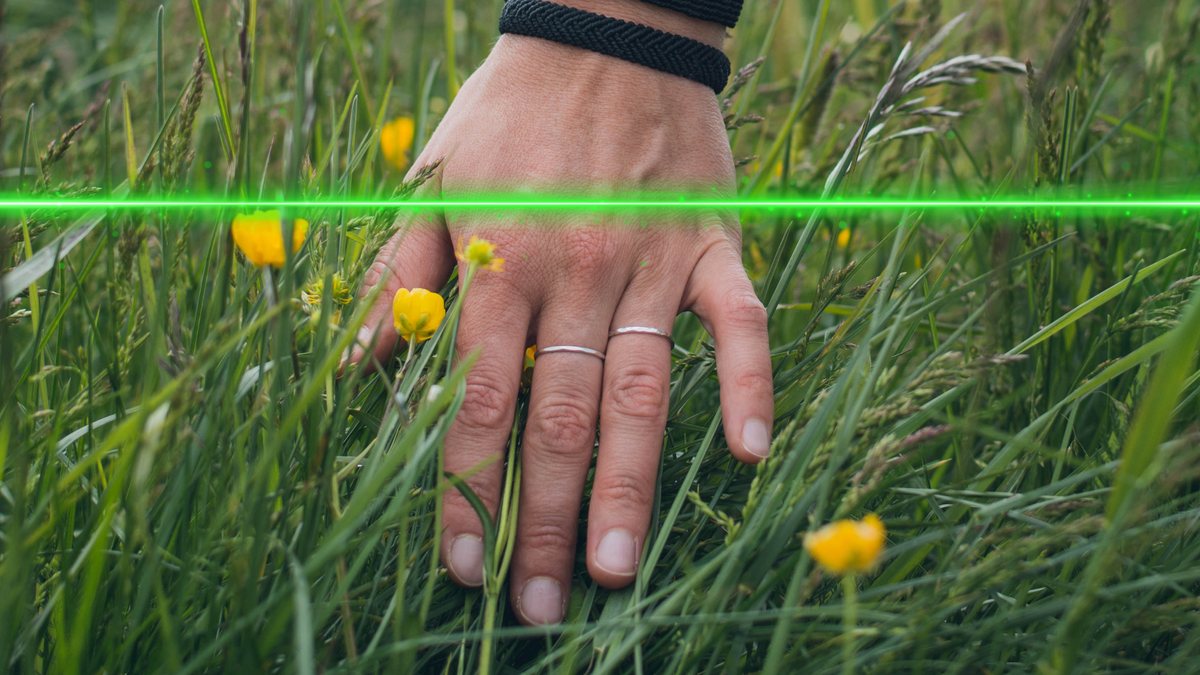 This App Wants You to Touch Grass—Literally