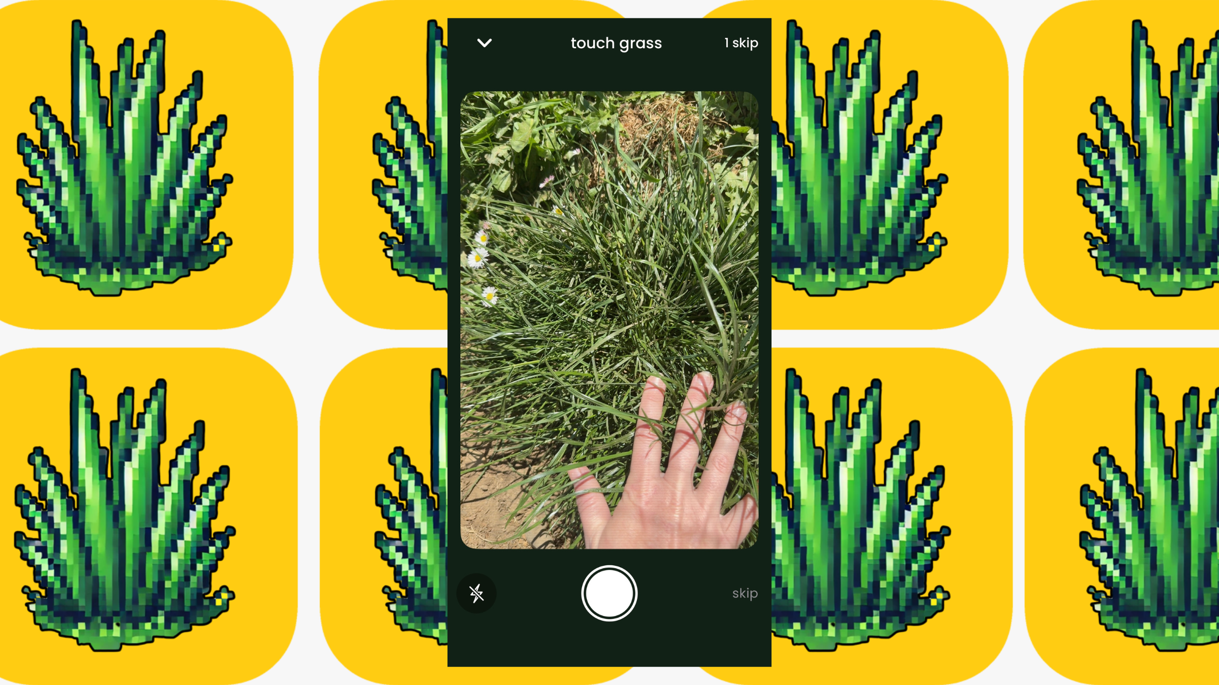 touch grass app