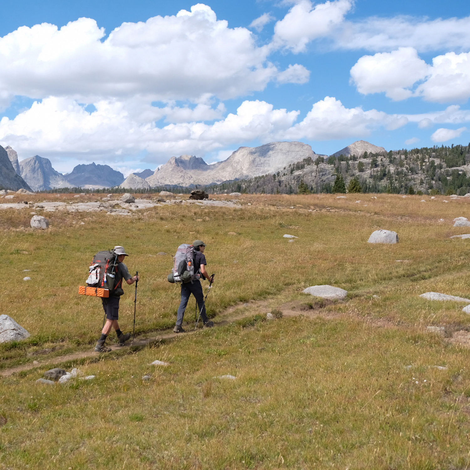 Father and son on a hike through a grassland with mountains in the background