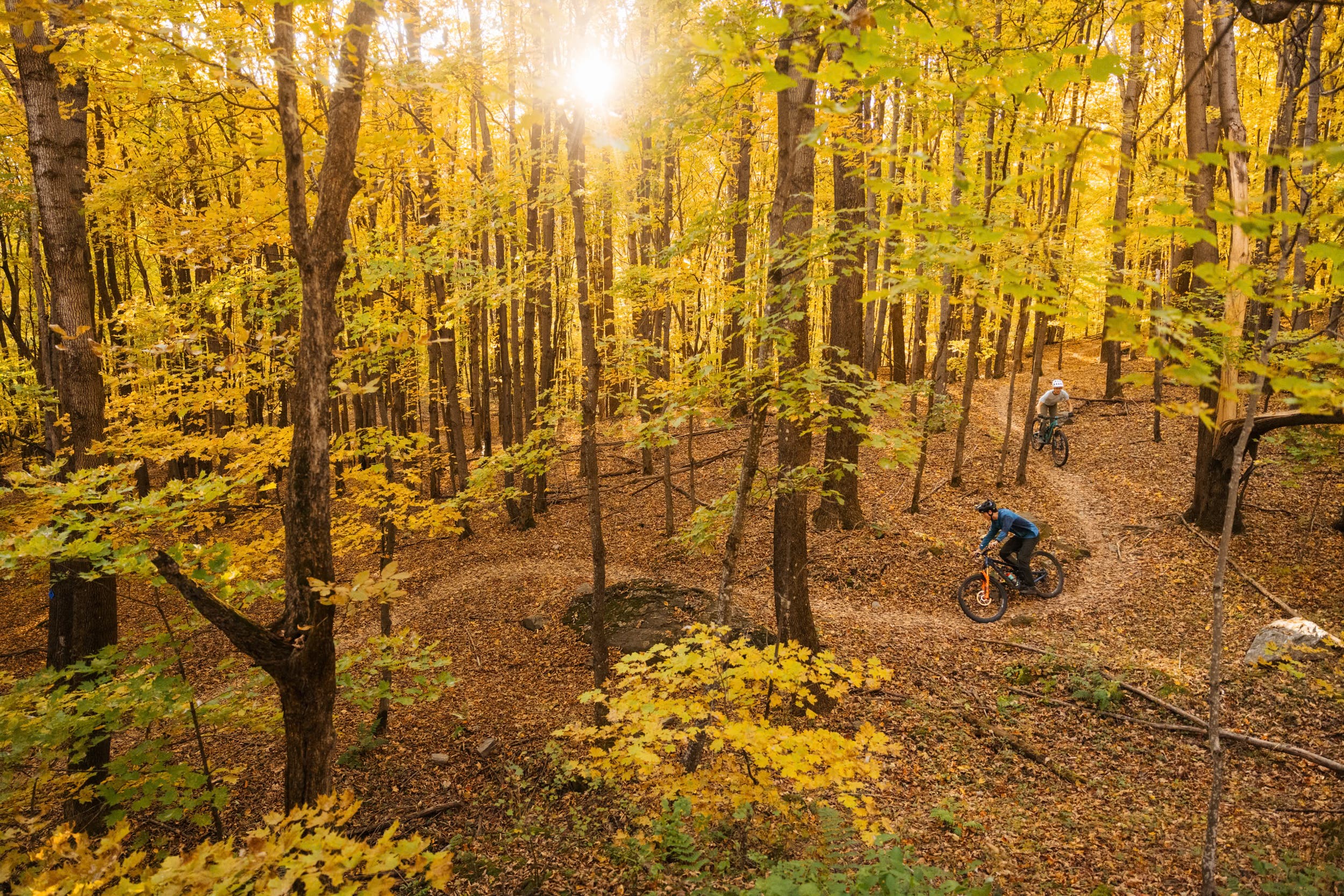Mountain biker riding through fall trees in Vermont