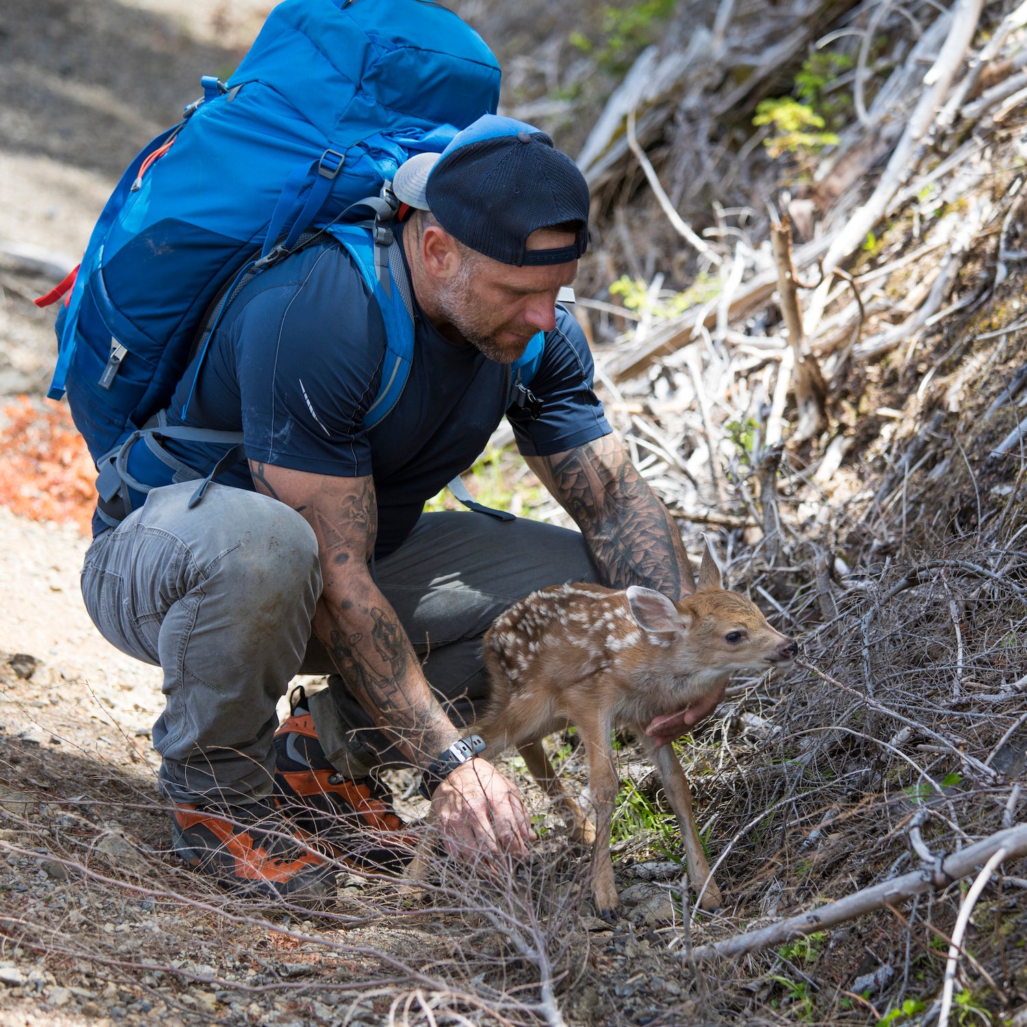 Hiker rescues newborn deer, moves off roadway.