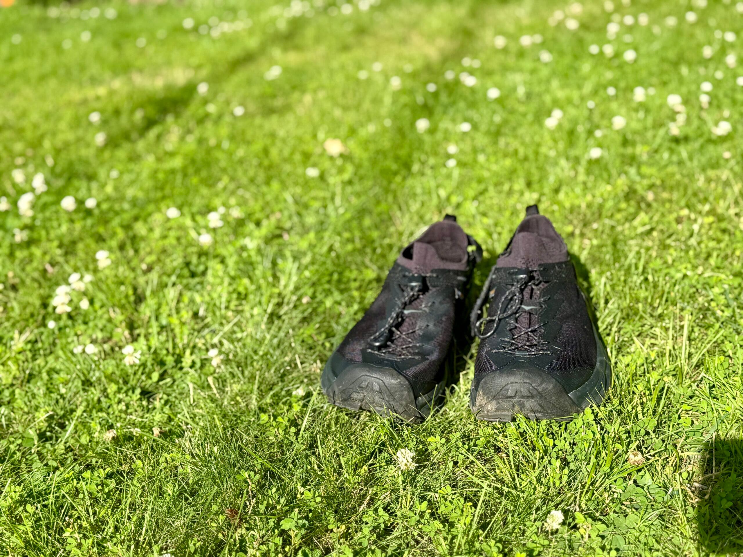 Black shoes in grass