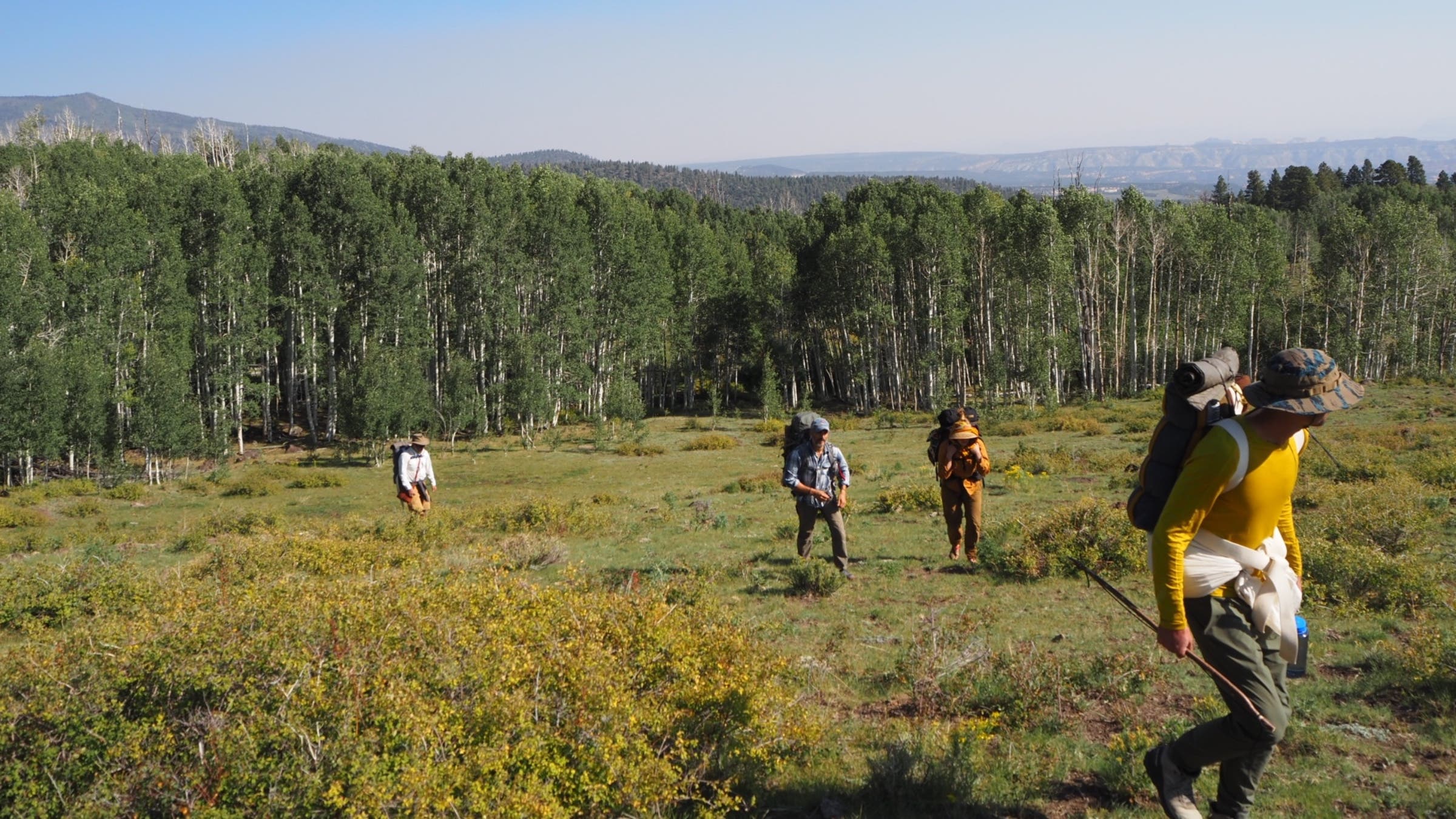 Group walking around in the wilderness