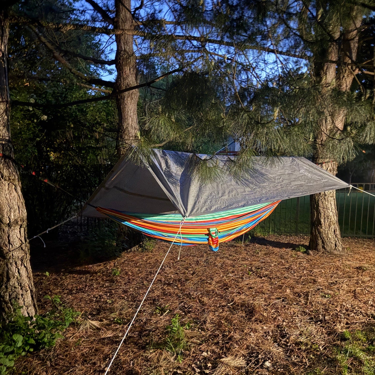 A hammock strung between trees in a suburban backyard