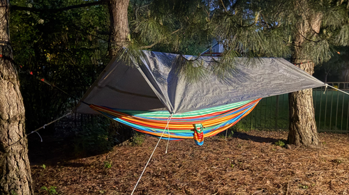 A hammock strung between trees in a suburban backyard