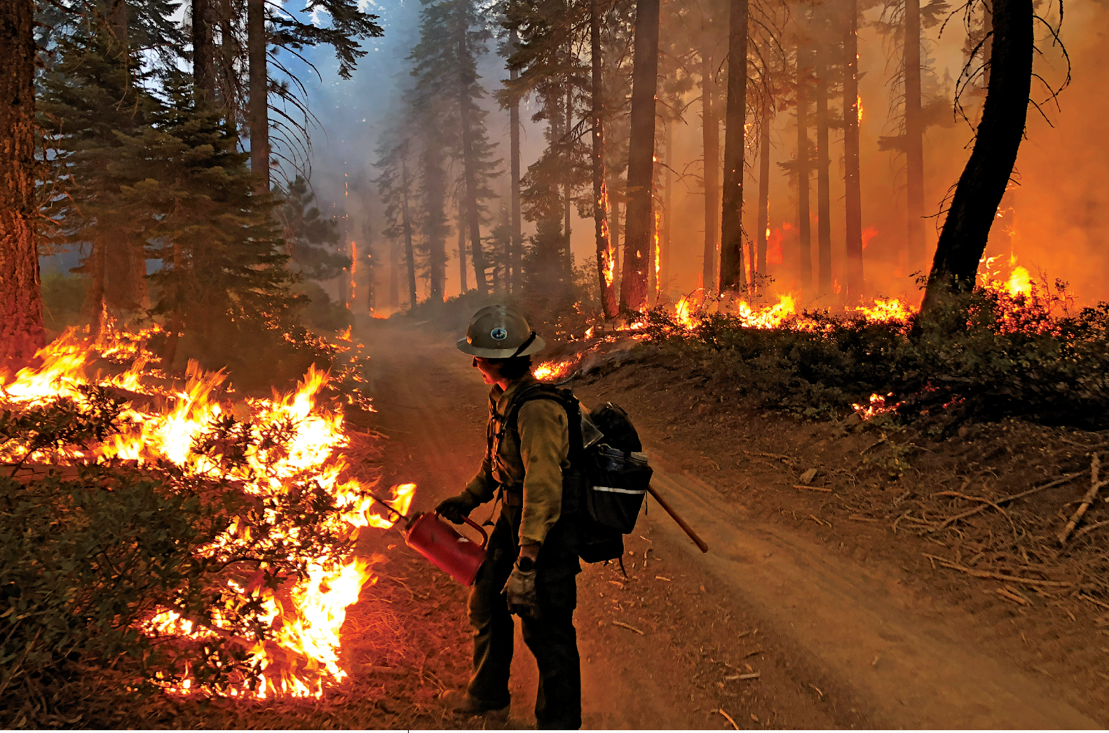 Kelly Ramsey Wildfire Days