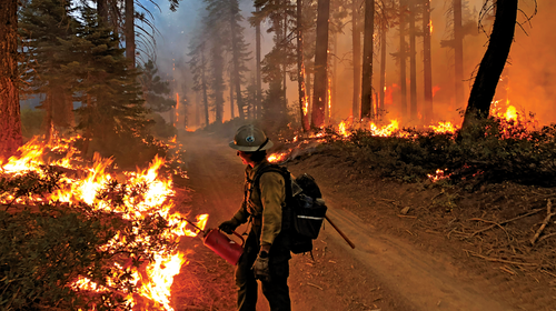 Kelly Ramsey Wildfire Days