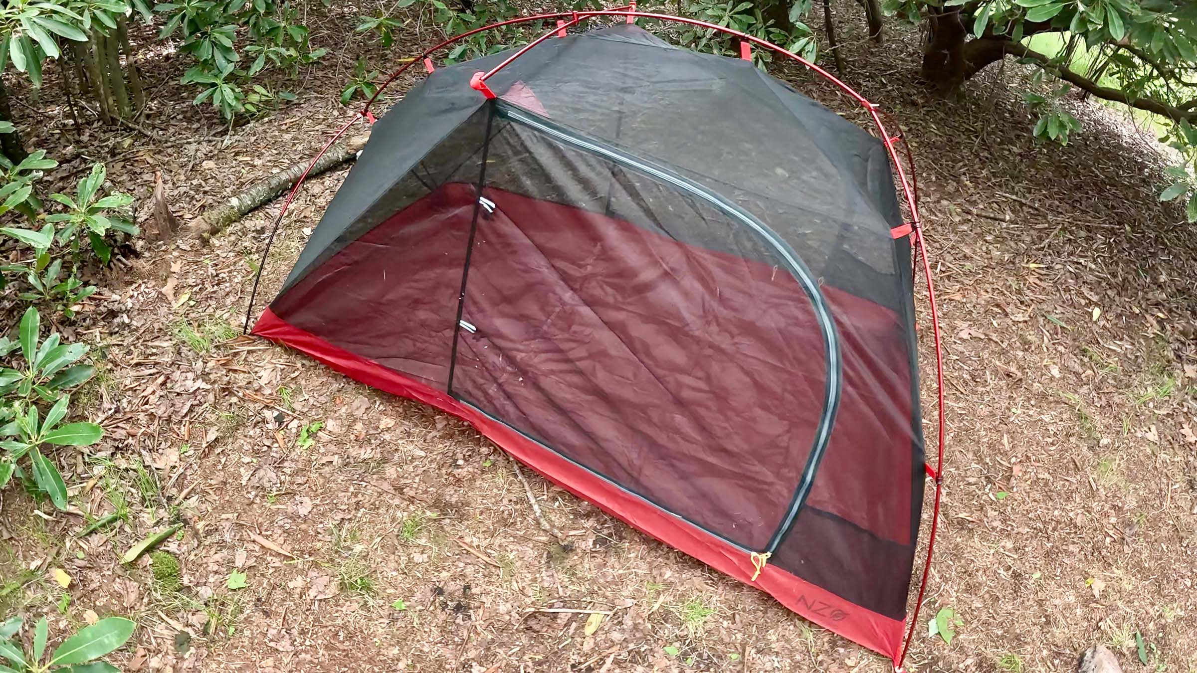 Near Zero Dynalite backpacking tent set up in forest