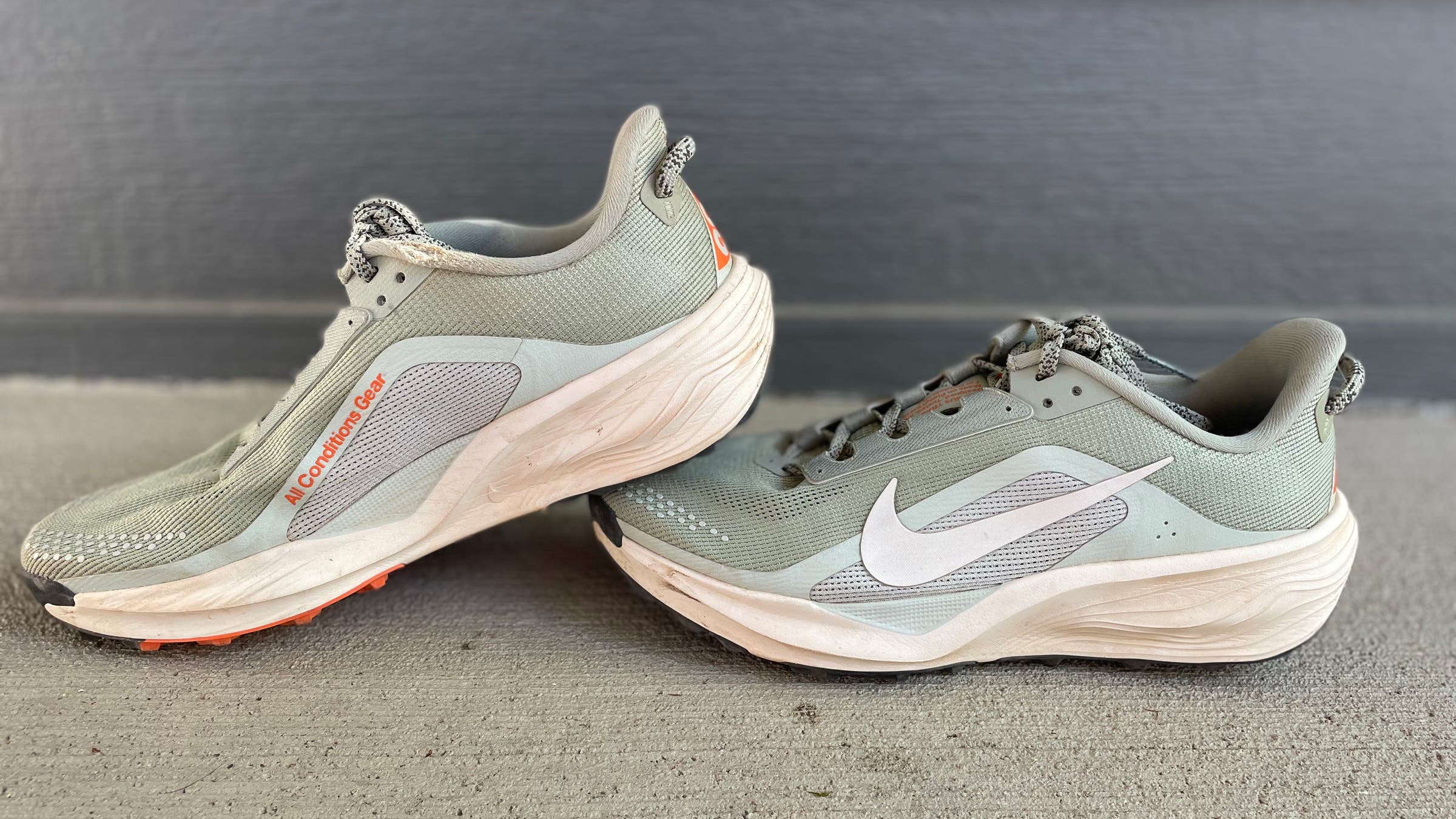 Nike Trail Pegasus running shoes for travel
