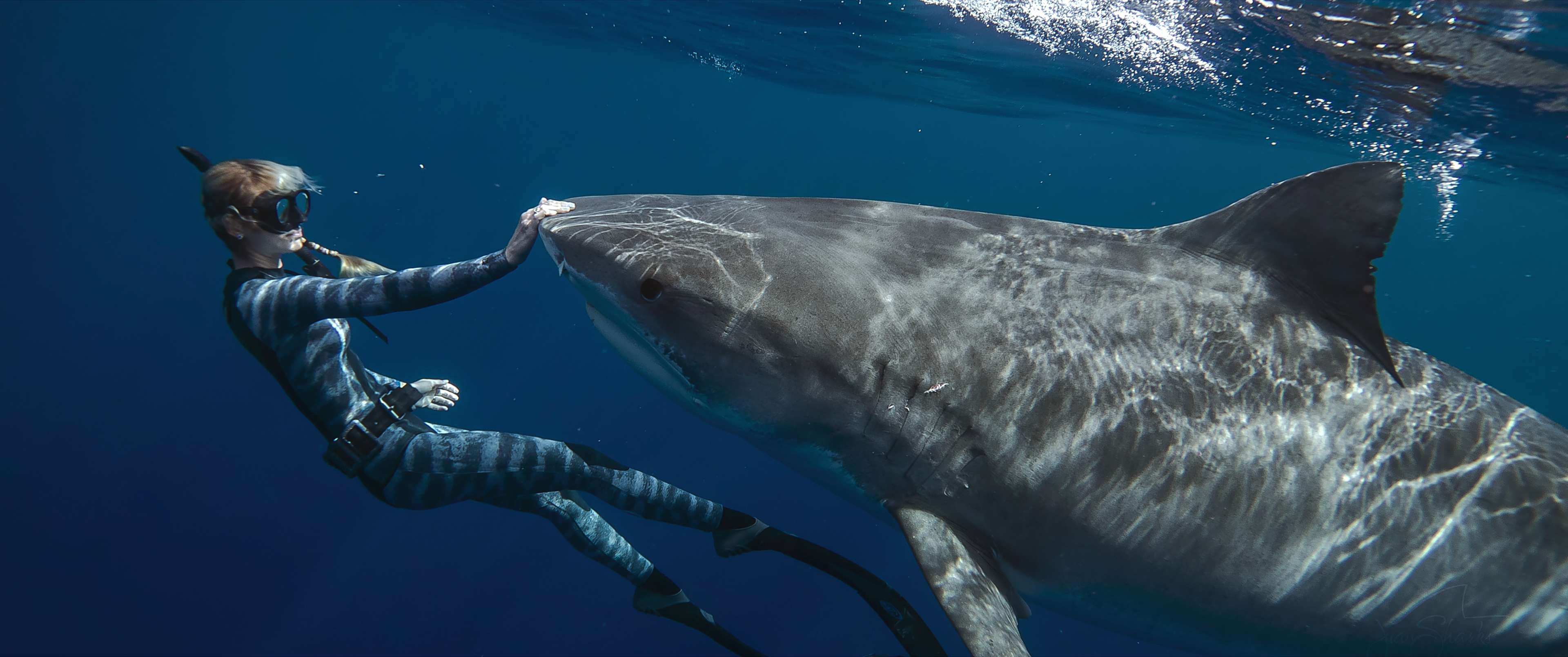Ocean Ramsey, a marine biologist and conservationist, is the subject of a new Netflix doc "Shark Whisper."