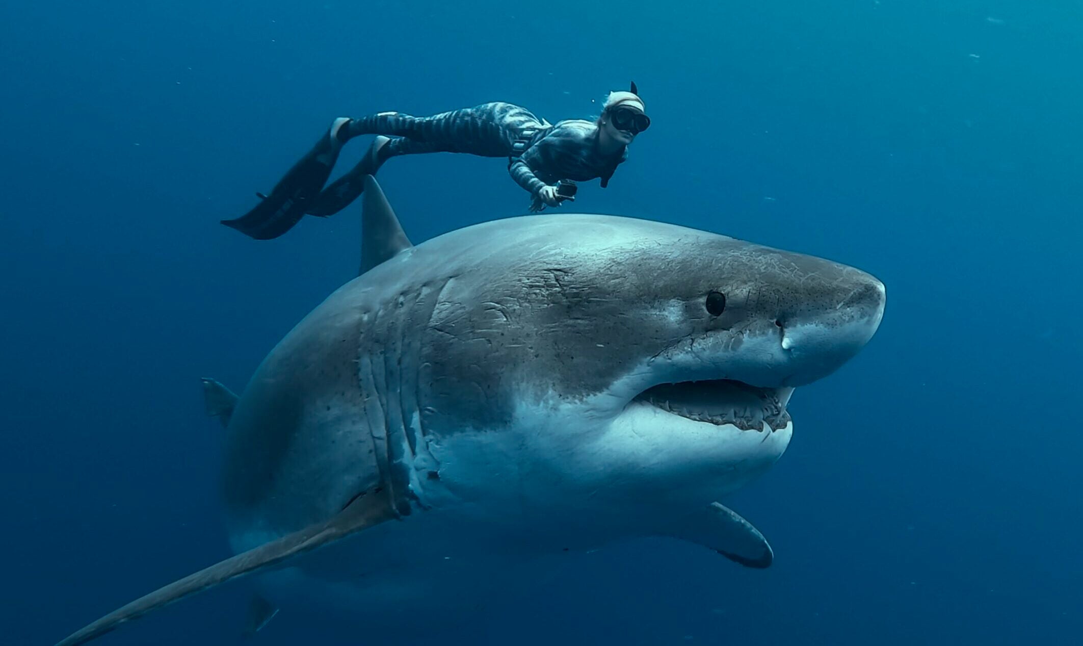 Ocean Ramsey, a marine biologist and conservationist, is the subject of a new Netflix doc 