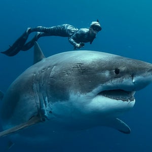 Ocean Ramsey, a marine biologist and conservationist, is the subject of a new Netflix doc