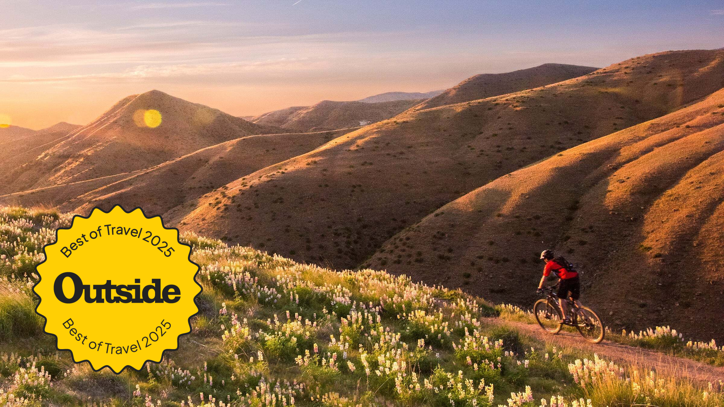 Mountain biking through the lupin in the Boise foothills. Mountain biking through the lupin in the Boise foothills.