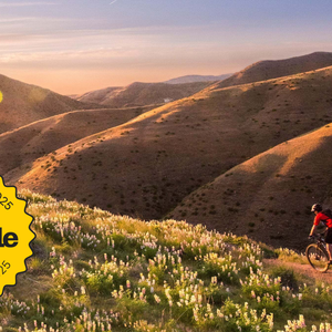 Mountain biking through the lupin in the Boise foothills. Mountain biking through the lupin in the Boise foothills.