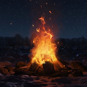 campfire on beach at night