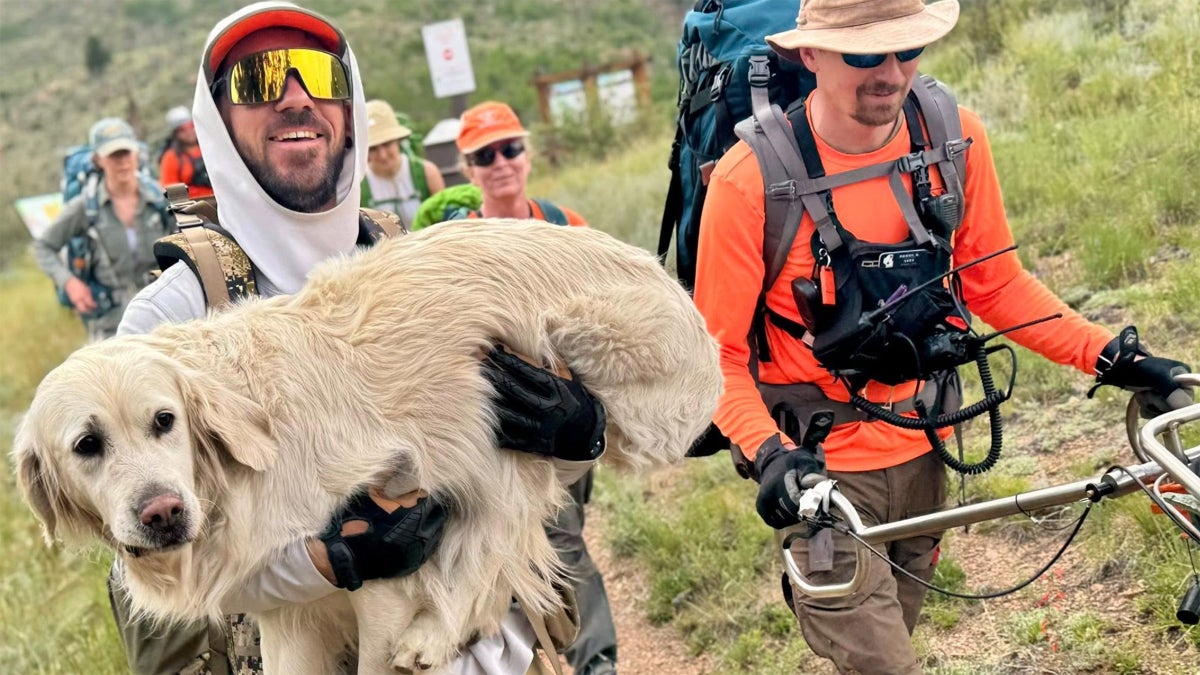 After a Series of Backcountry Dog Rescues, Colorado SAR Teams Alert Hikers