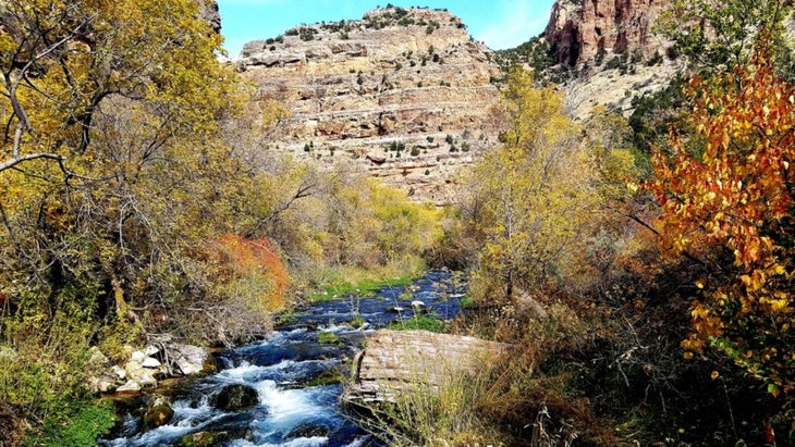 Creek in mountains