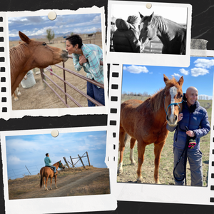 Siri Lindley is cancer-free. Her horse Savannah in pictures.