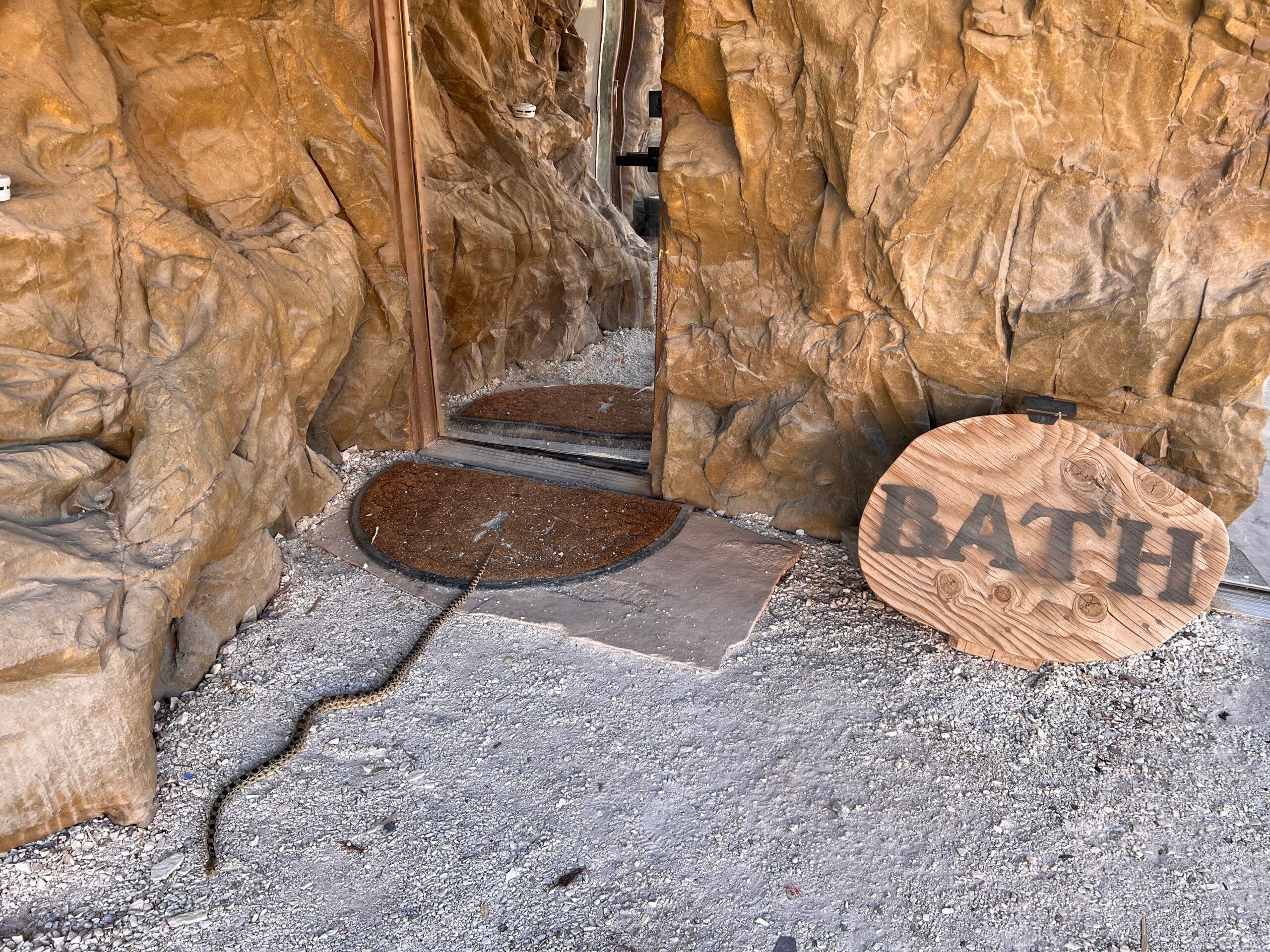 snake on ground near bathroom