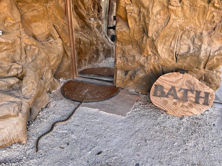 snake on ground near bathroom