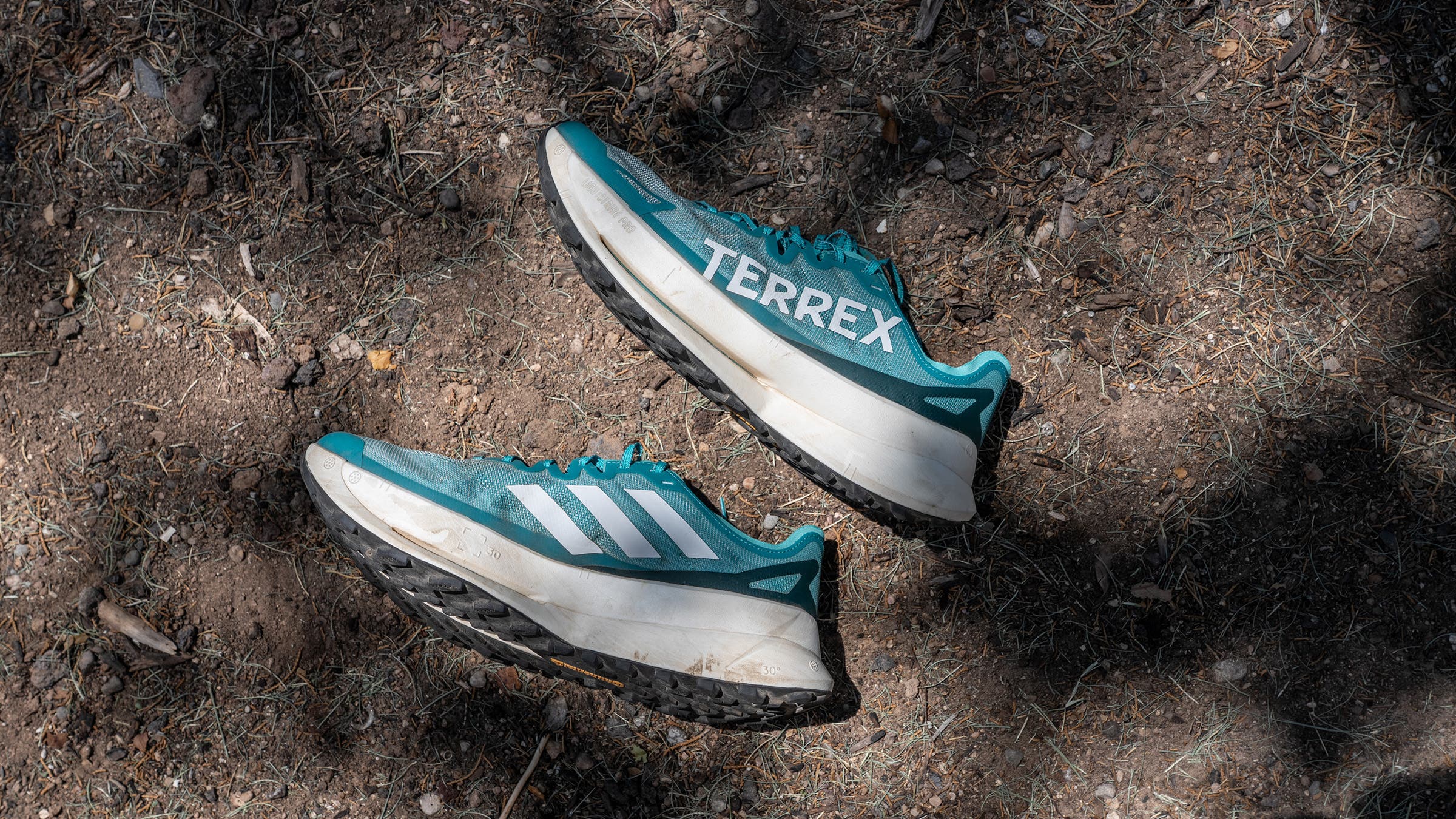 Closeup of Addidas Agravic trail running shoes on dirt