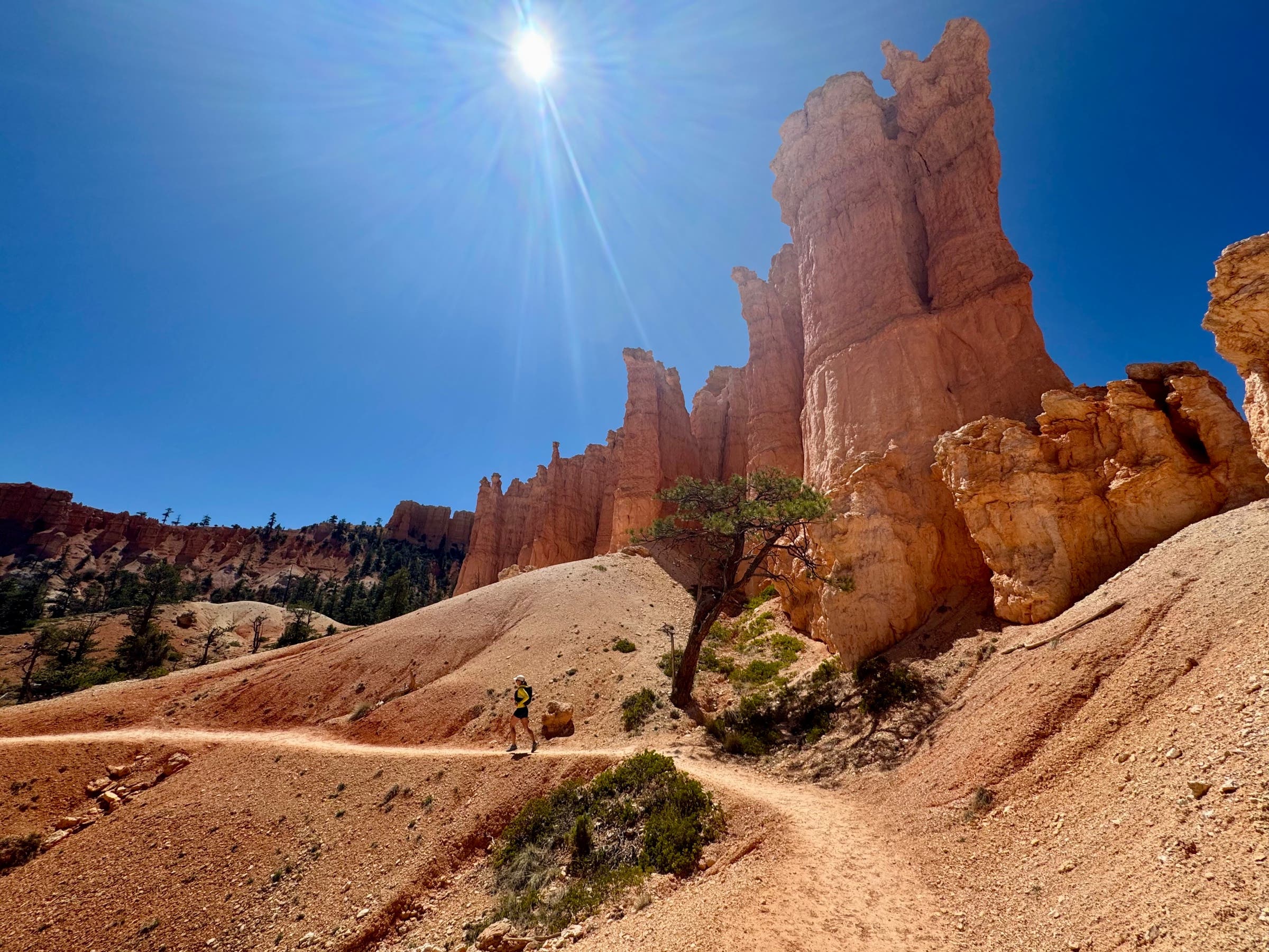 Runner in Bryce