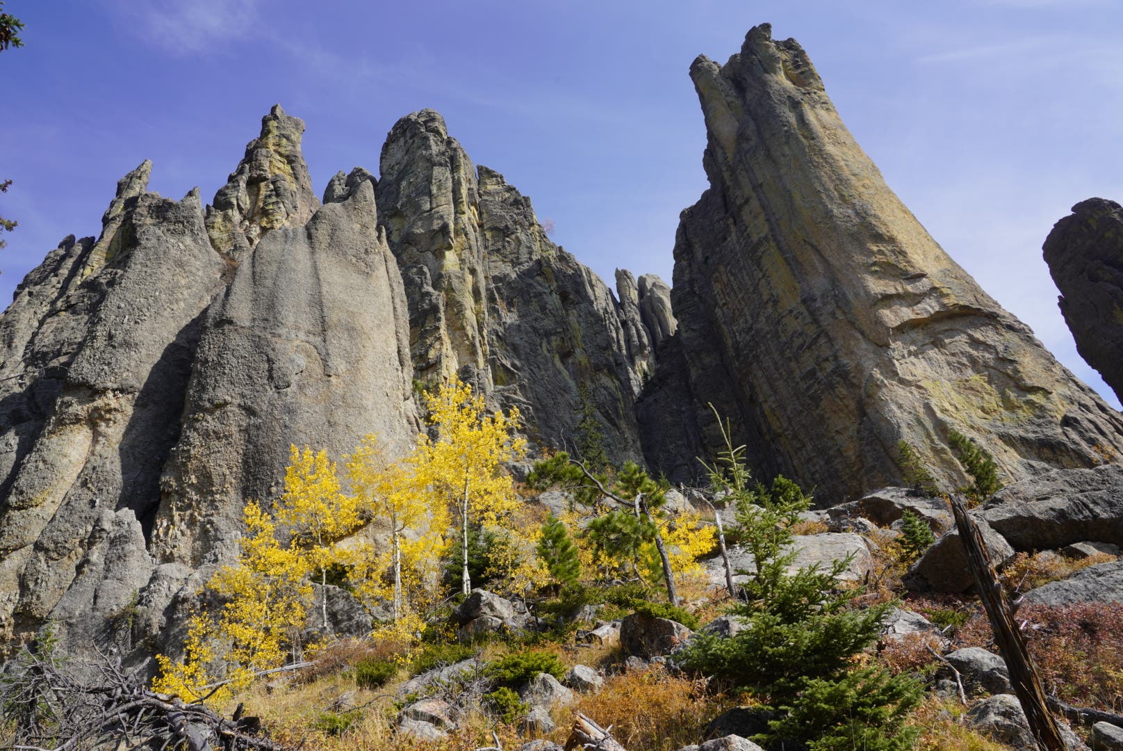 Custer State Park Road Trip
