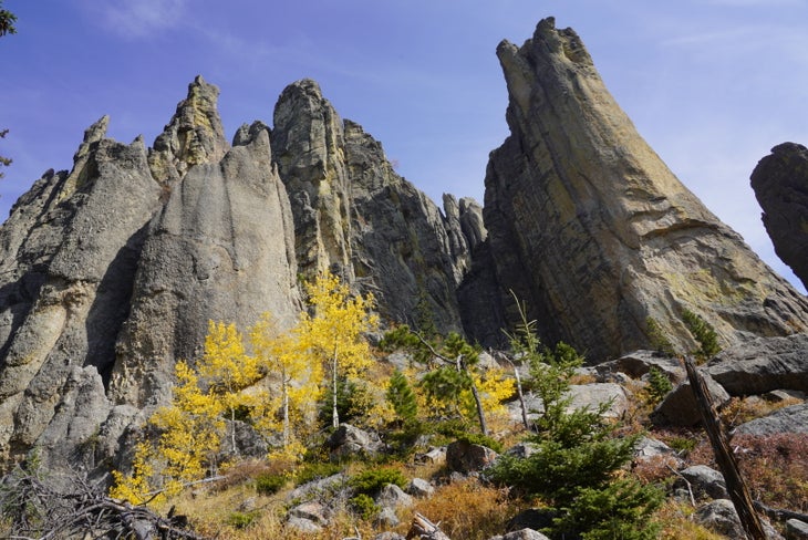 Custer State Park Road Trip 