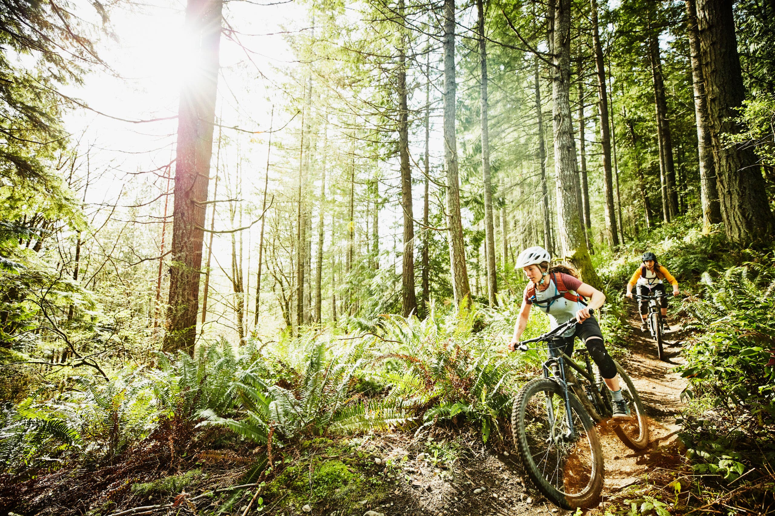 Female friends riding mountain bikes down trails