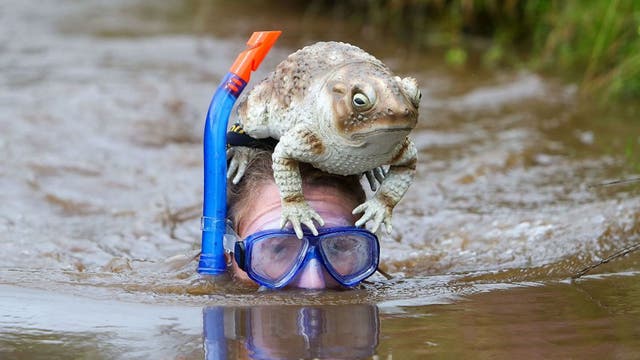 8 Triathlon Alternatives No One Will Ever Agree To