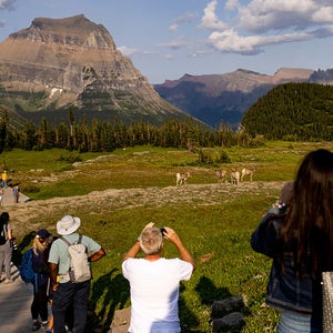Glacier National Park