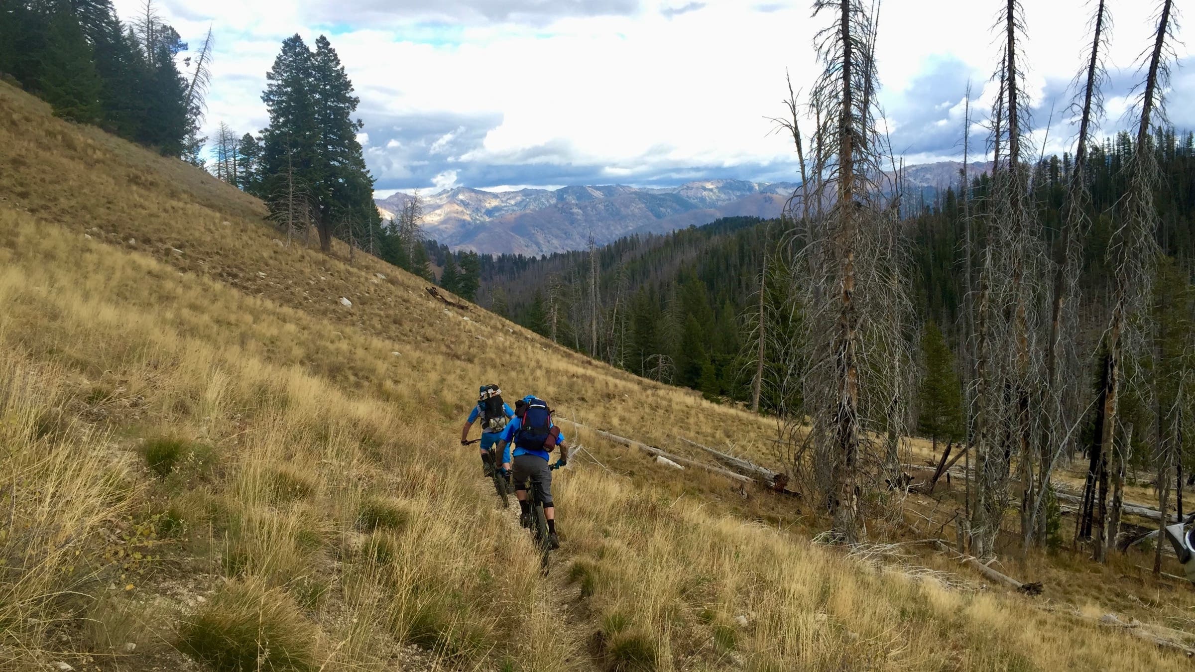 mountain bikers descend