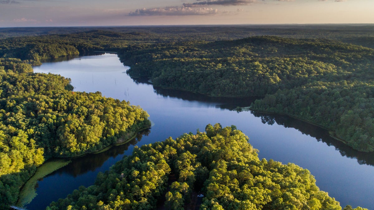 Exploring Tennessee's Top Lakes