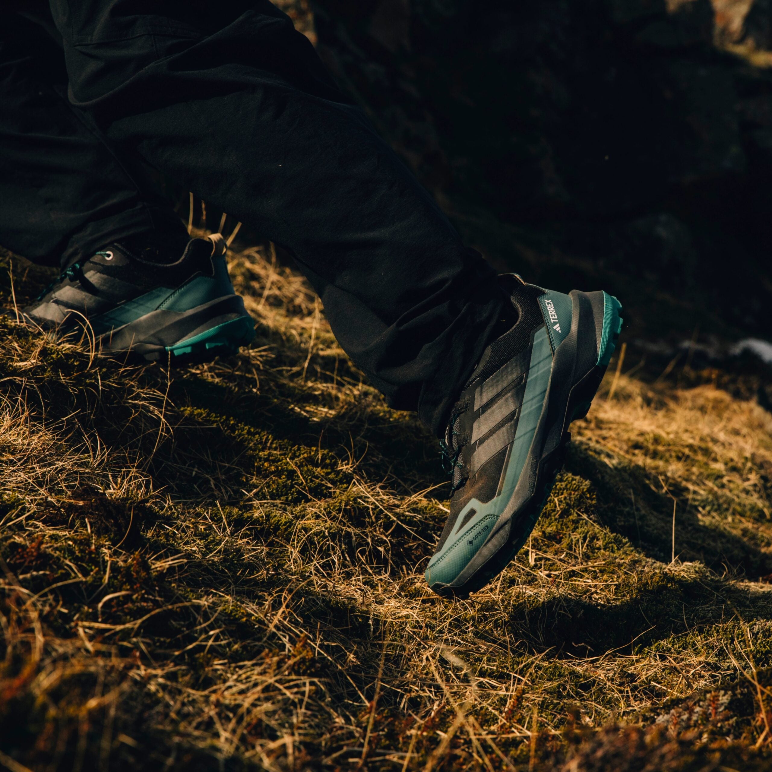 The new adidas TERREX Skychaser AX5