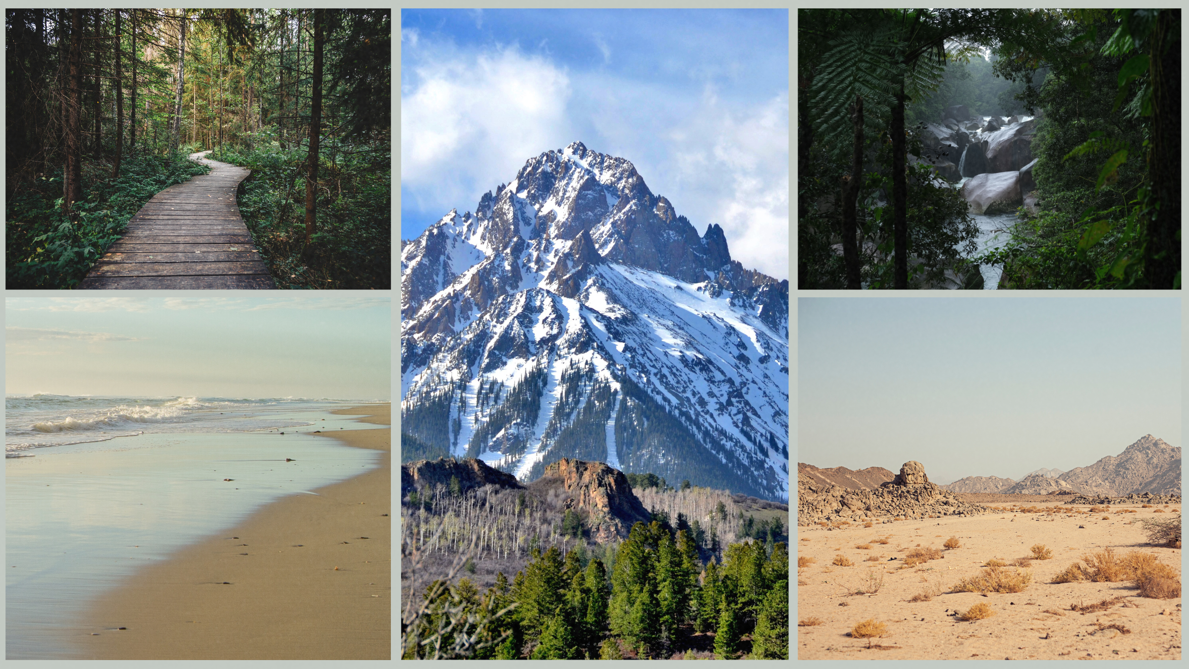 five outdoor spaces, desert, forest, rainforest, water, mountains