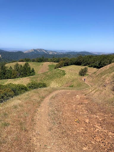 Rivendell rear derailleur 