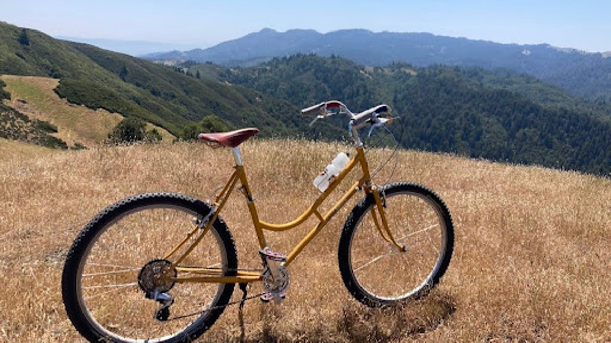 Rivendell Bikes Crafts Rear Derailleur of the Century