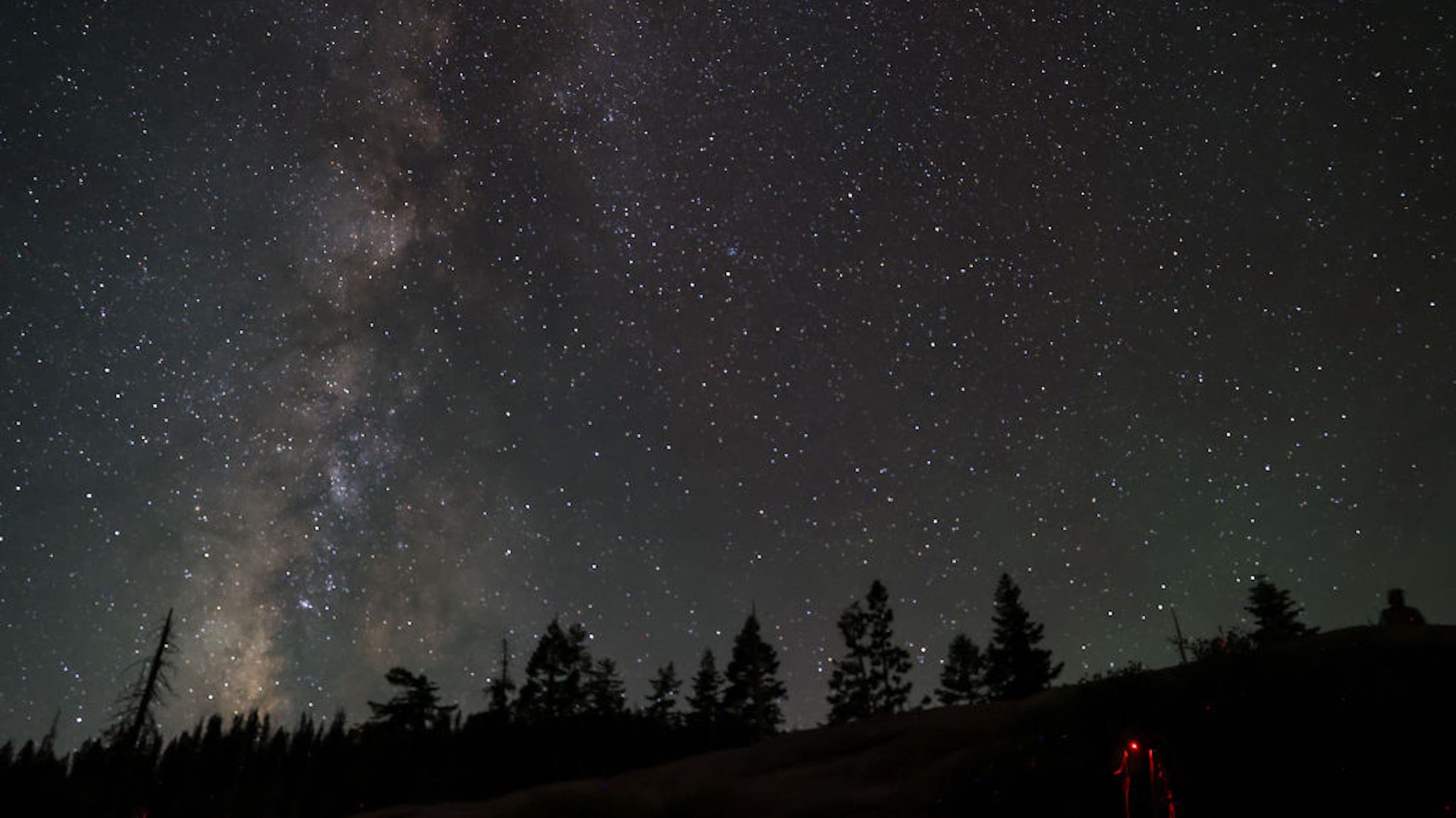 stars and Milky Way over treeline